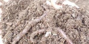 Warmi Compost Organic Fartiliser