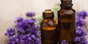 Lavender Oil