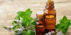 Peppermint Oil