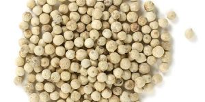 Dried White Pepper Seeds