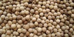 Raw White Pepper Seeds