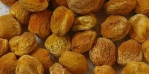 Healthy Dried Apricots
