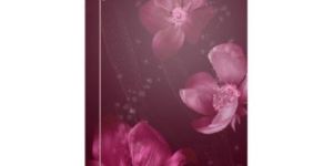 Stainless Steel Single Door Refrigerator