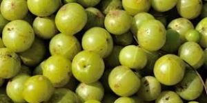 Fresh Amla