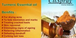 Turmeric Essential Oil - Citspray