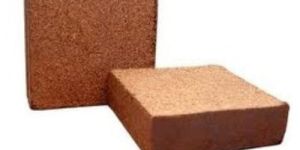 Buffered Coir Pith Block