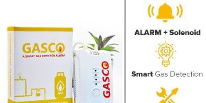 Combustible Gas Detector