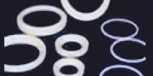 PTFE Ring Gasket Beaker