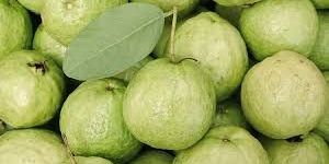 Fresh Guava