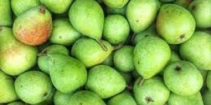 Fresh Pears