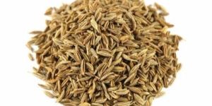 Organic Cumin Seeds