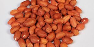 Organic Peanut Kernels