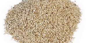 Organic Sesame Seeds