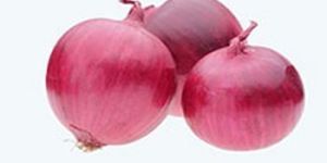 Red Onion