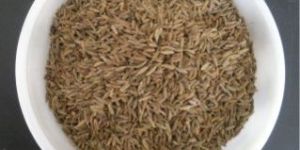 Cumin Seeds