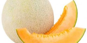 Fresh Muskmelon