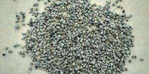 Nirgundi Seeds