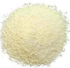 Skim Milk Powder