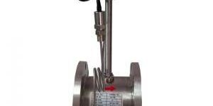 Vortex Flow Meter