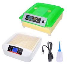 Egg Incubator