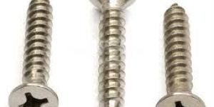 Stainless Steel Screw