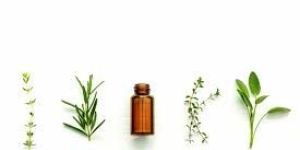 Essential Oil