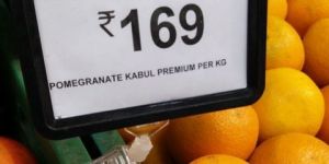 Price Tag Holder with Clip