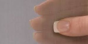 Stainless Steel Wire Cloth