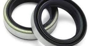 Oil Seals