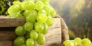 Fresh Green Grapes