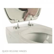 Toilet Seat Hing