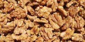Fresh Walnut Kernel