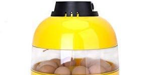 8 Eggs Mini Egg Incubator