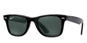 Wayfarer Sunglasses