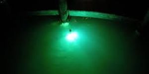 Fishing Light
