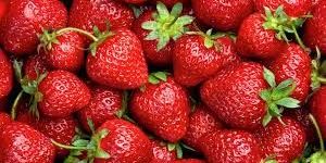 Red Strawberry
