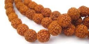 Rudraksha Beads