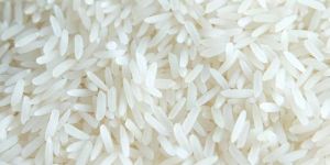 Arwa Rice