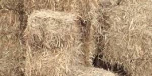 Sugarcane Mulch Bales