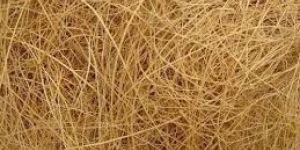 Coir Fiber