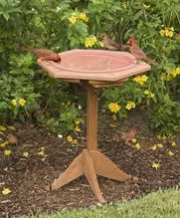Garden Bird Bath