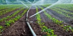 Irrigation & Watering Supplies