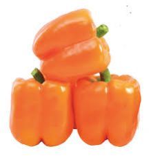Fresh Orange Capcicum