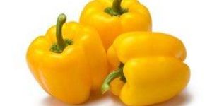 Fresh Yellow Capcicum