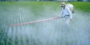Insecticides