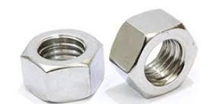Stainless Steel Nuts