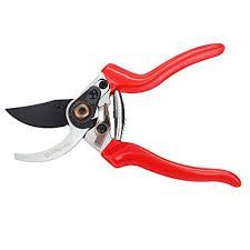 Hand Pruner