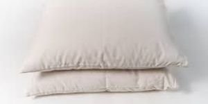 Cotton Pillows