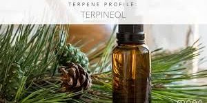 Terpineol