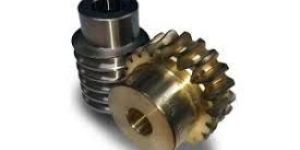 Worm Drive Gears